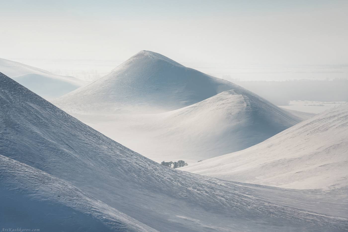 , Арсений Кашкаров