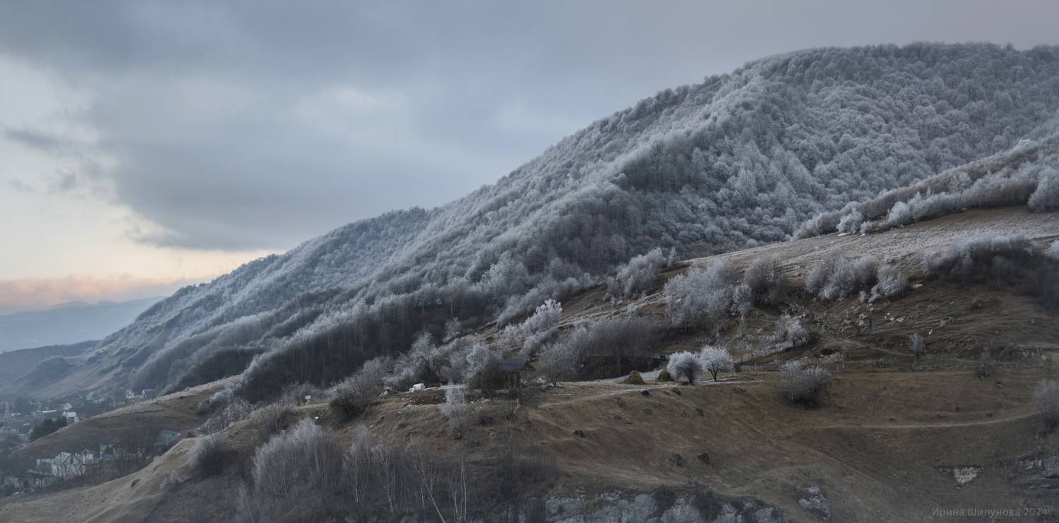 , Шипунова Ирина