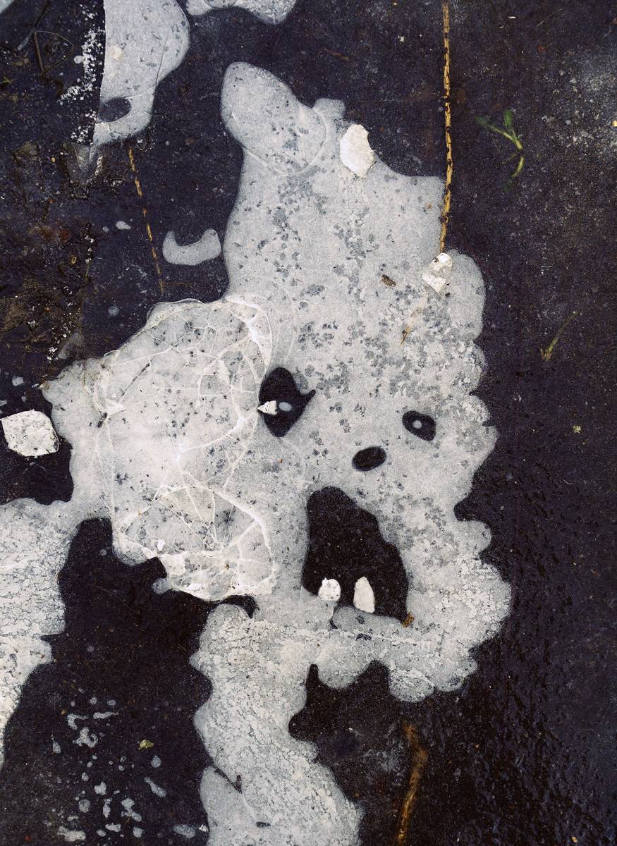 pareidolia, Илья Веулоп