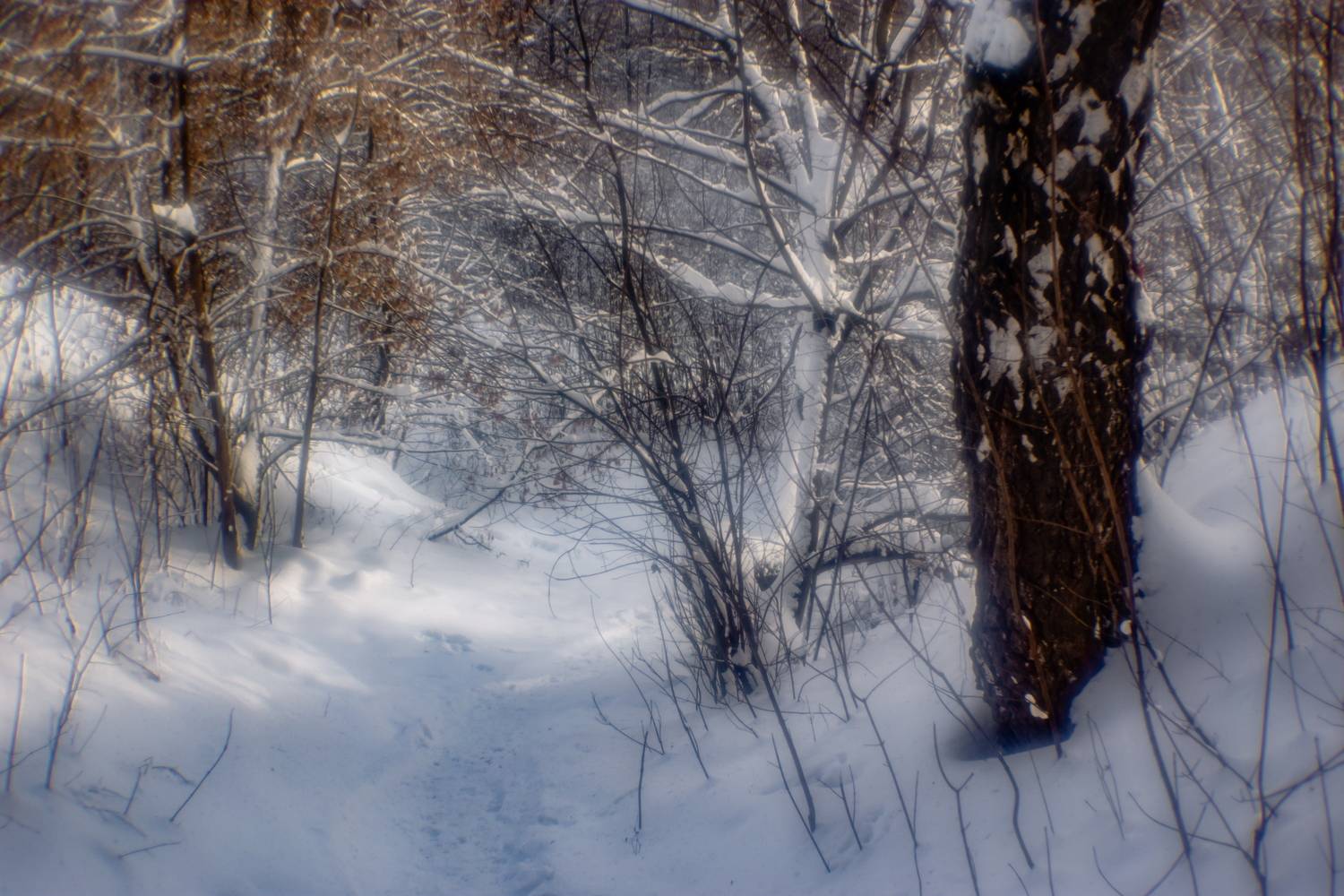 , Юрий Морозов