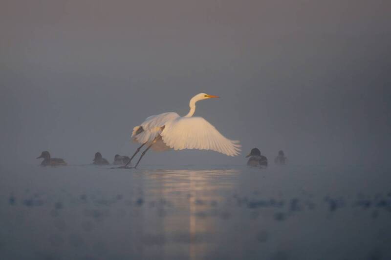 Танец над водой фото превью