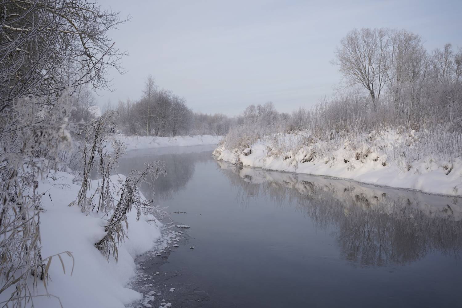 , Алёна Таланова