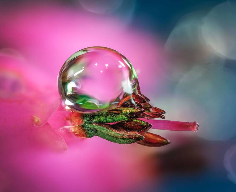 Капелька... фото превью