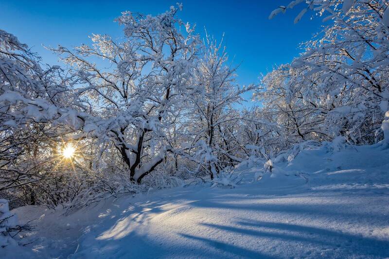 природа, зима, лес, снег, зимний лес, кумысная поляна Морозное утро.. фото превью