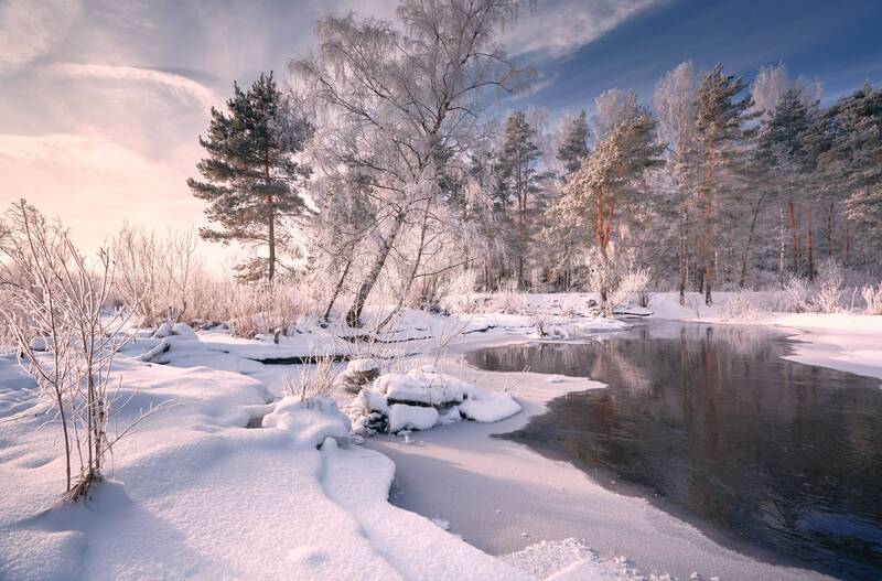 Бодрит ... фото превью