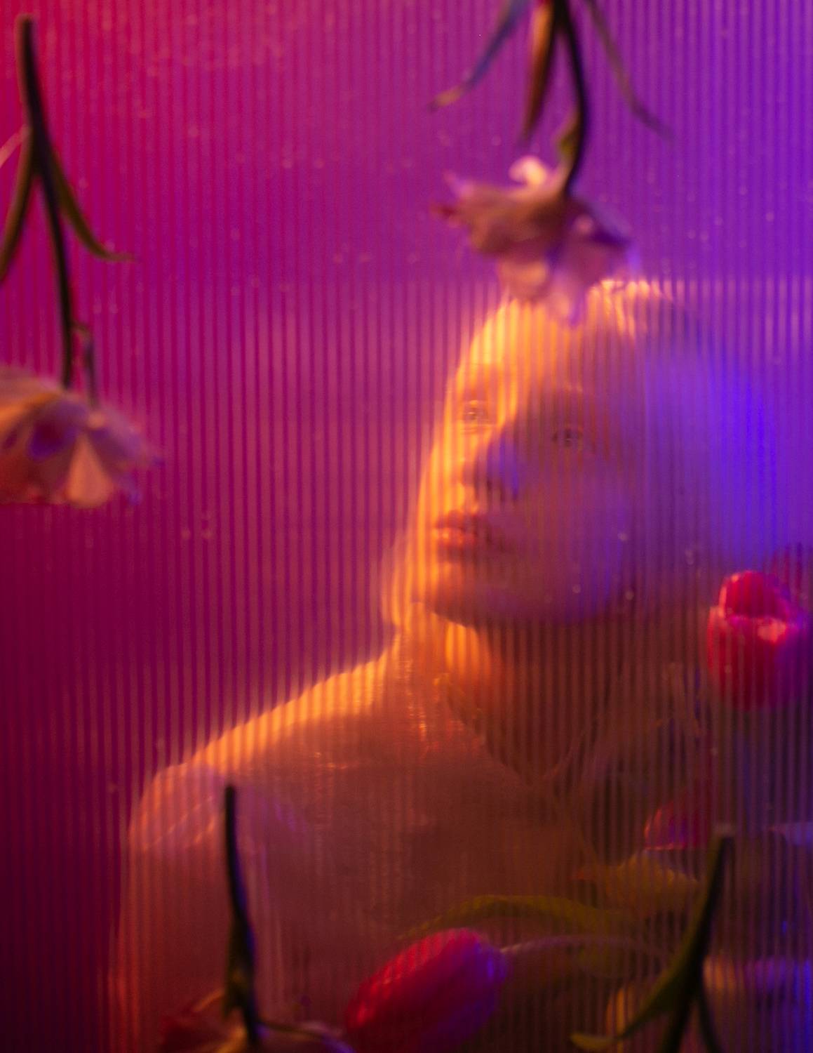 35mm, 4x5, 6x6, 6х6, 85mm, Art, Artnude, Ballerina, Ballet, Battur, Beautiful, Beauty, Canon, Canon 5D Mark III, Car, Color, Dance, Dress, Emotion, Eyes, Face, Flowers, Ganzo, Genre, GirlHair, Hero,LightLilac, Model, Mongol, Mongolia, Гергерт Вероника