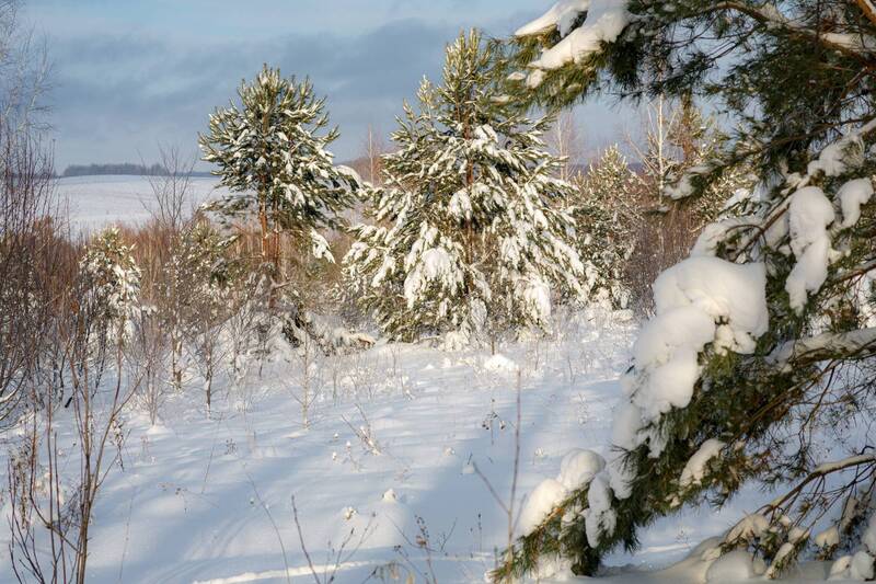 Хоровод фото превью