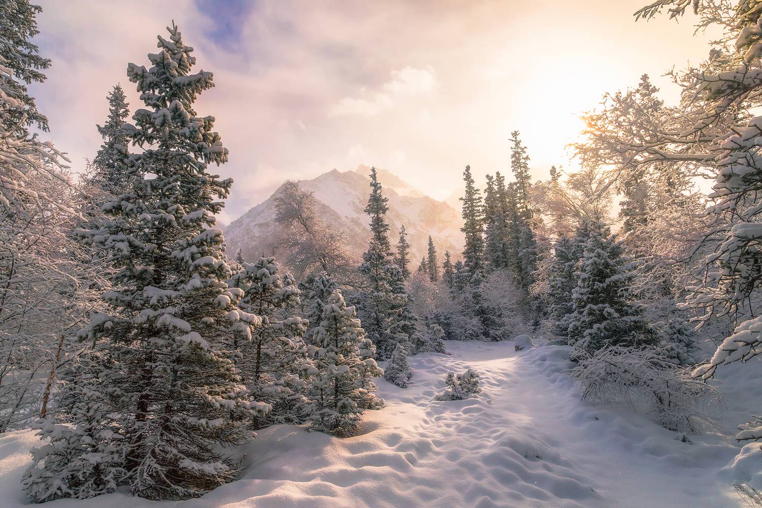 кыргызстан, ала-арча, Элина Магалимова