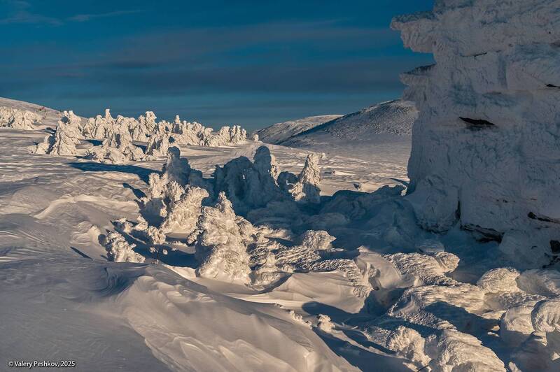 шерегеш, снег, иней, надувы, пихты, кедры, гора курган, горная шория, мороз, зима, сибирь Морозный беспредел фото превью
