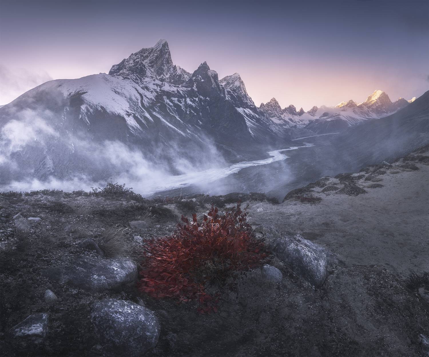 , Политова Анна