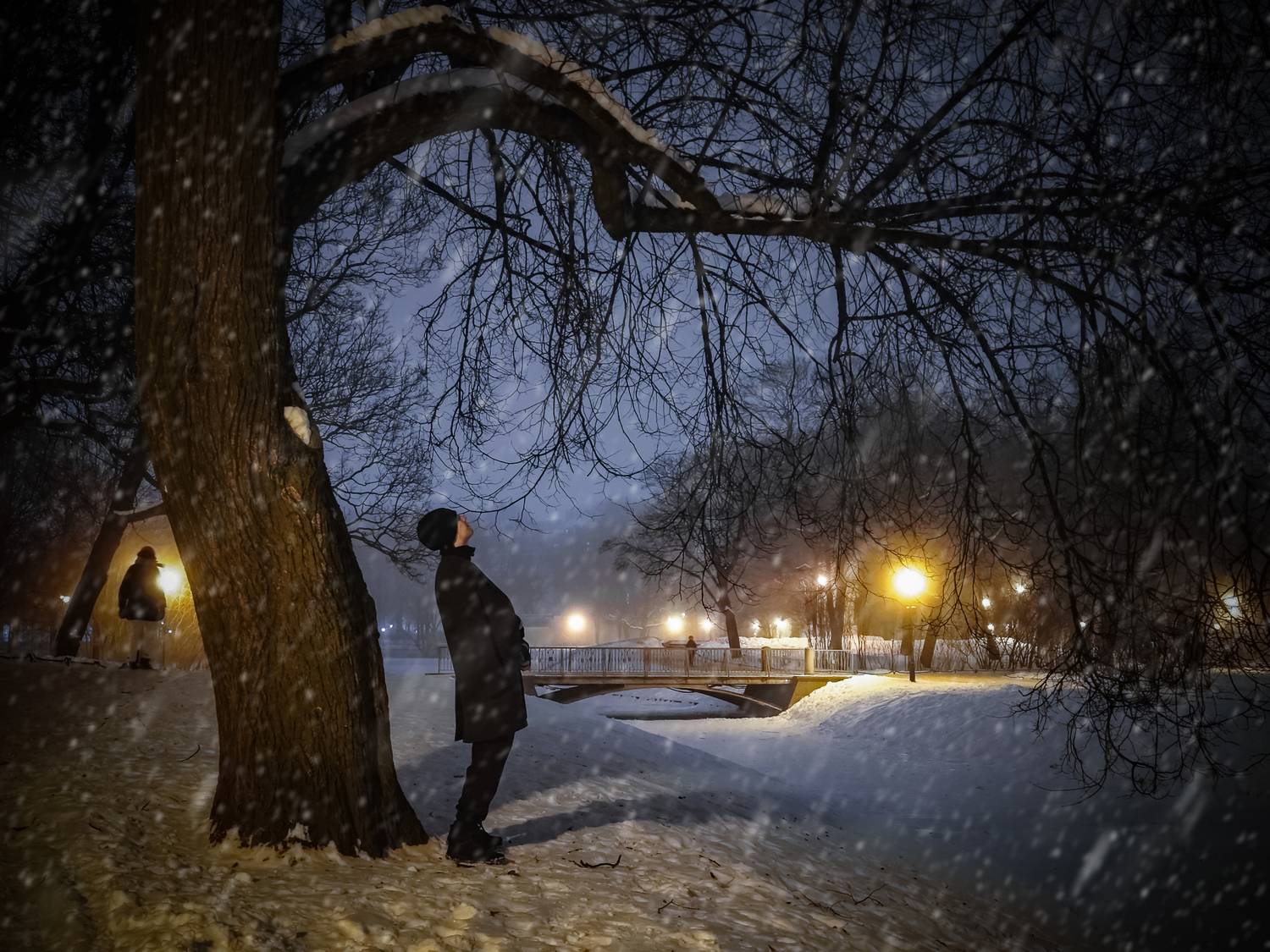 , Елена Литовская