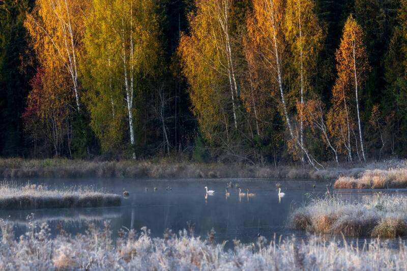 Лёд и пламя фото превью