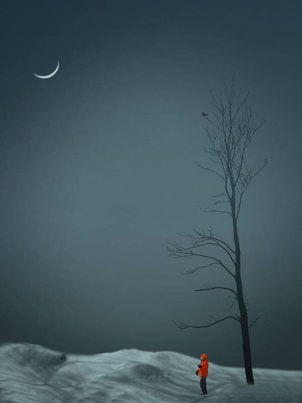 -Месяц молодой нас заворожил. Внизу меня и птицу на ветке. фото превью