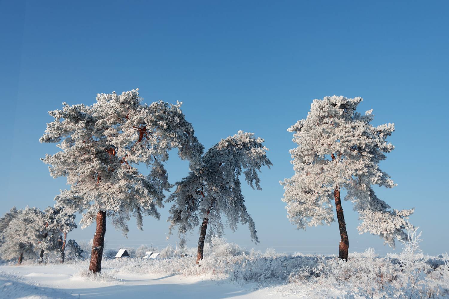 , Владимир Ноздрачев