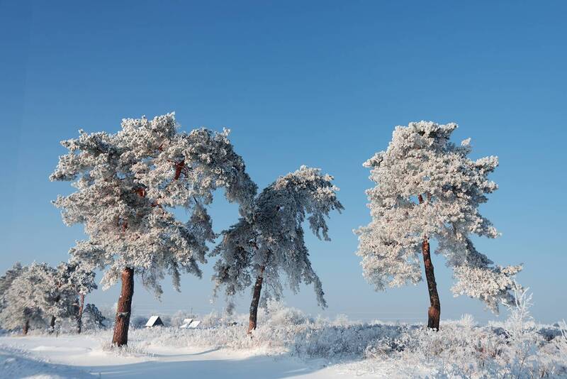 За городом фото превью