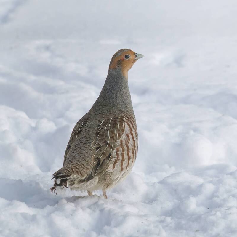 все. обнаружен...  фото превью