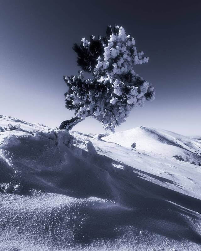 Where the wind and cold sculpt фото превью