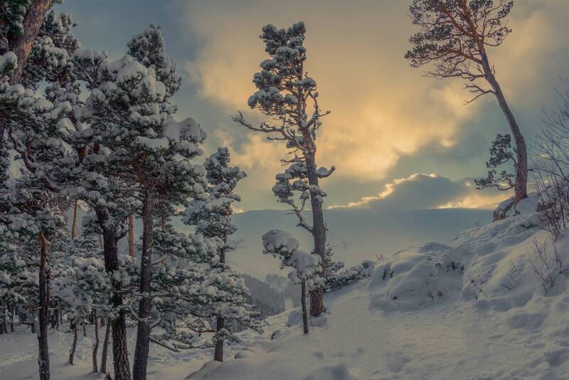 *** фото превью