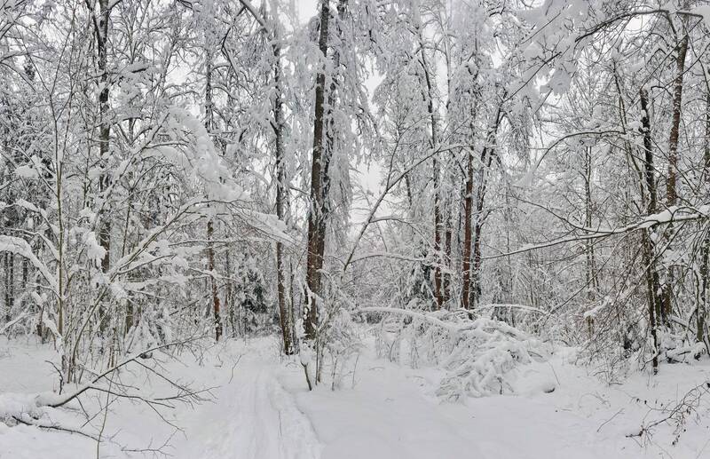 Настоящая зима фото превью