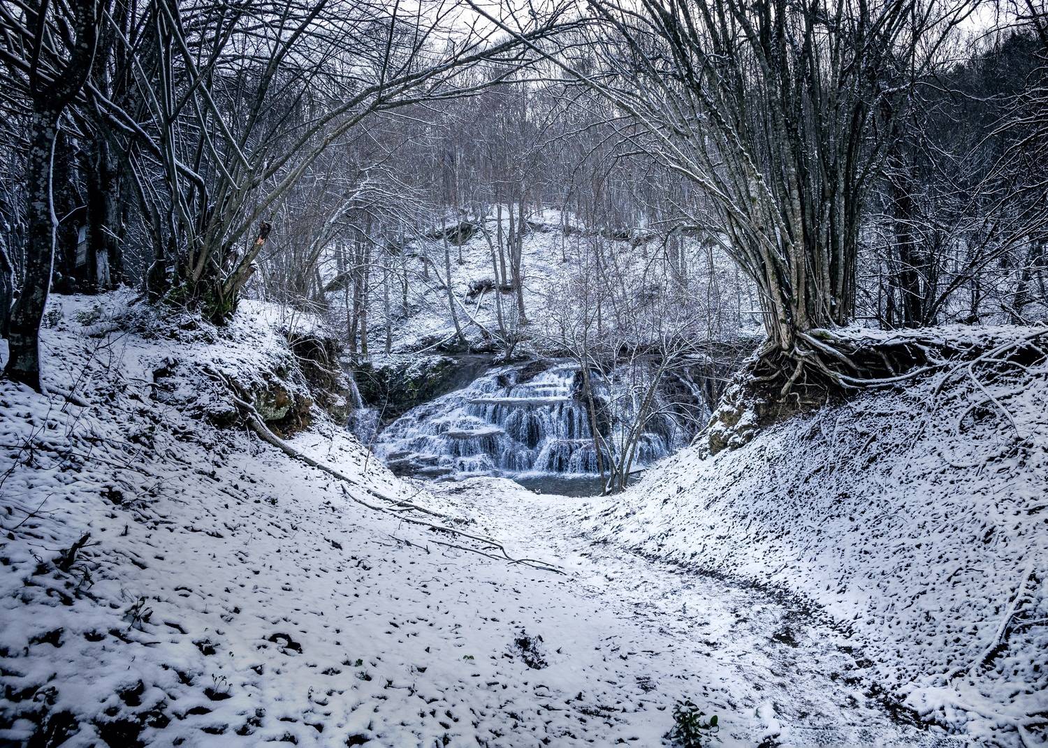 , Бобчева Веселина