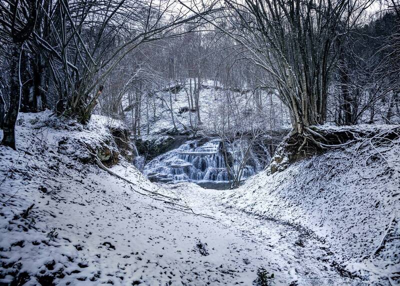 shrouded in silence фото превью