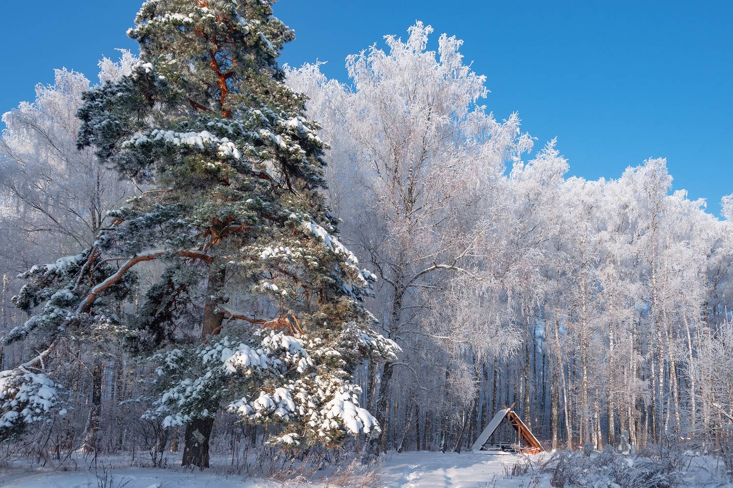 , Владимир Ноздрачев