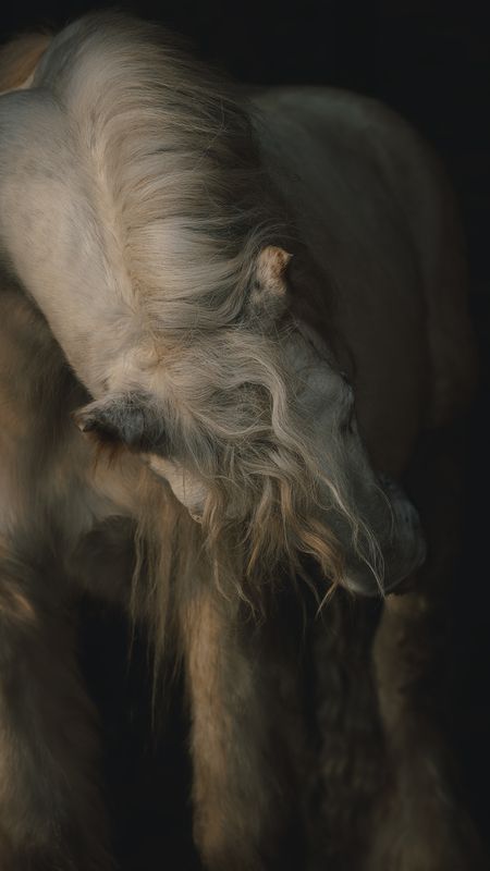 Lorenzo фото превью