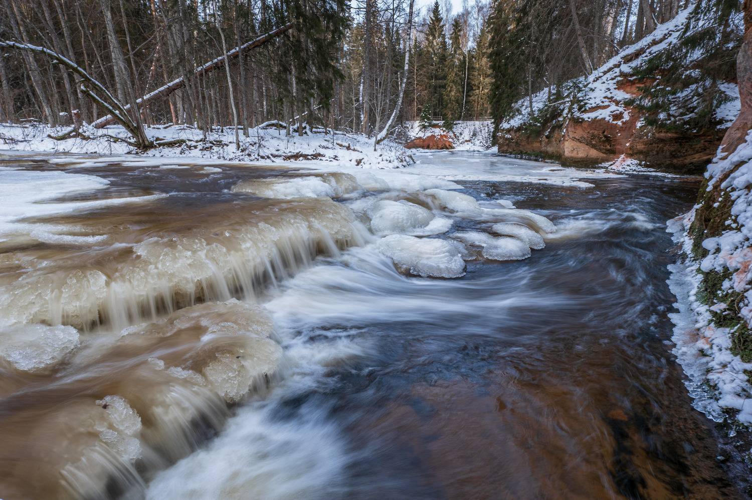 , Гордон Николай