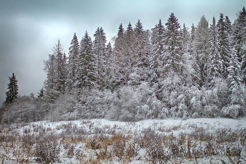 *** фото превью