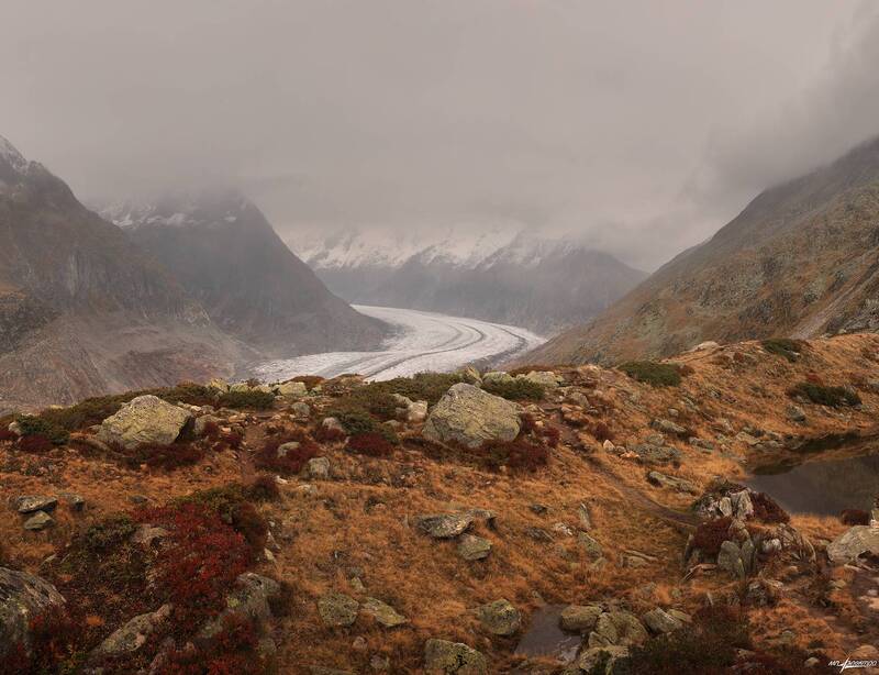 swiss Дыхание Осени фото превью