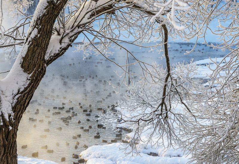 Киров, парк,пруд На пруду фото превью