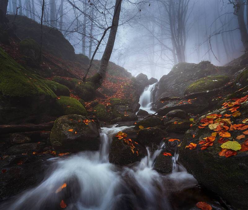 landscape, nature, scenery, forest, wood, autumn, mist, misty, fog, foggy, river, longexposure, mountain, rocks, vitosha, bulgaria When autumn sets down фото превью