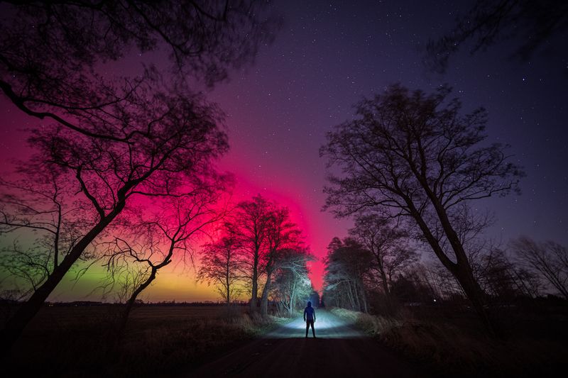 Portal фото превью