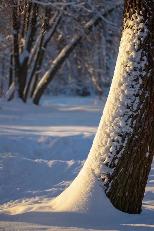 Зимняя медитация фото превью