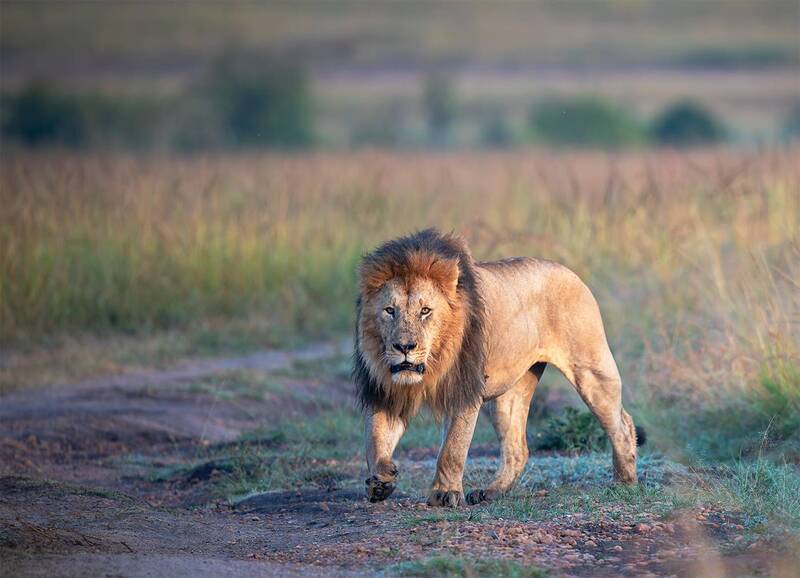 *** фото превью