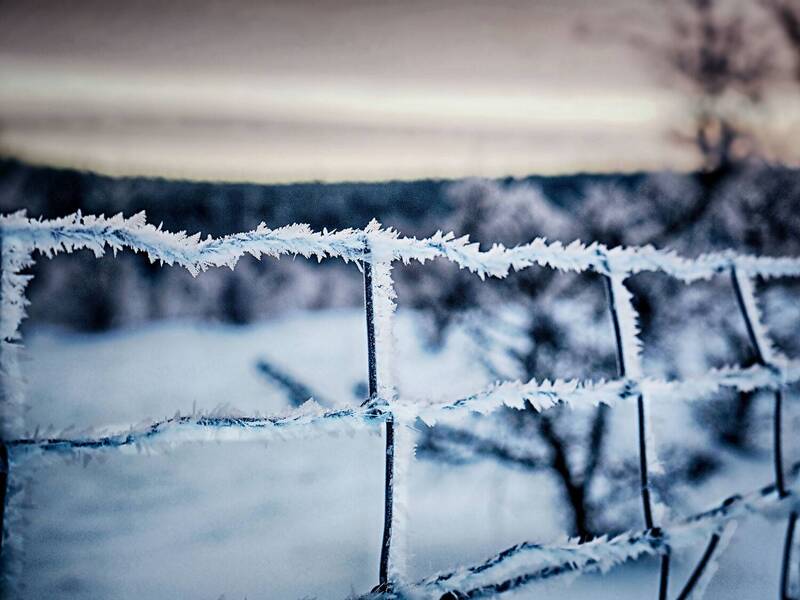 Winter is here 7 фото превью