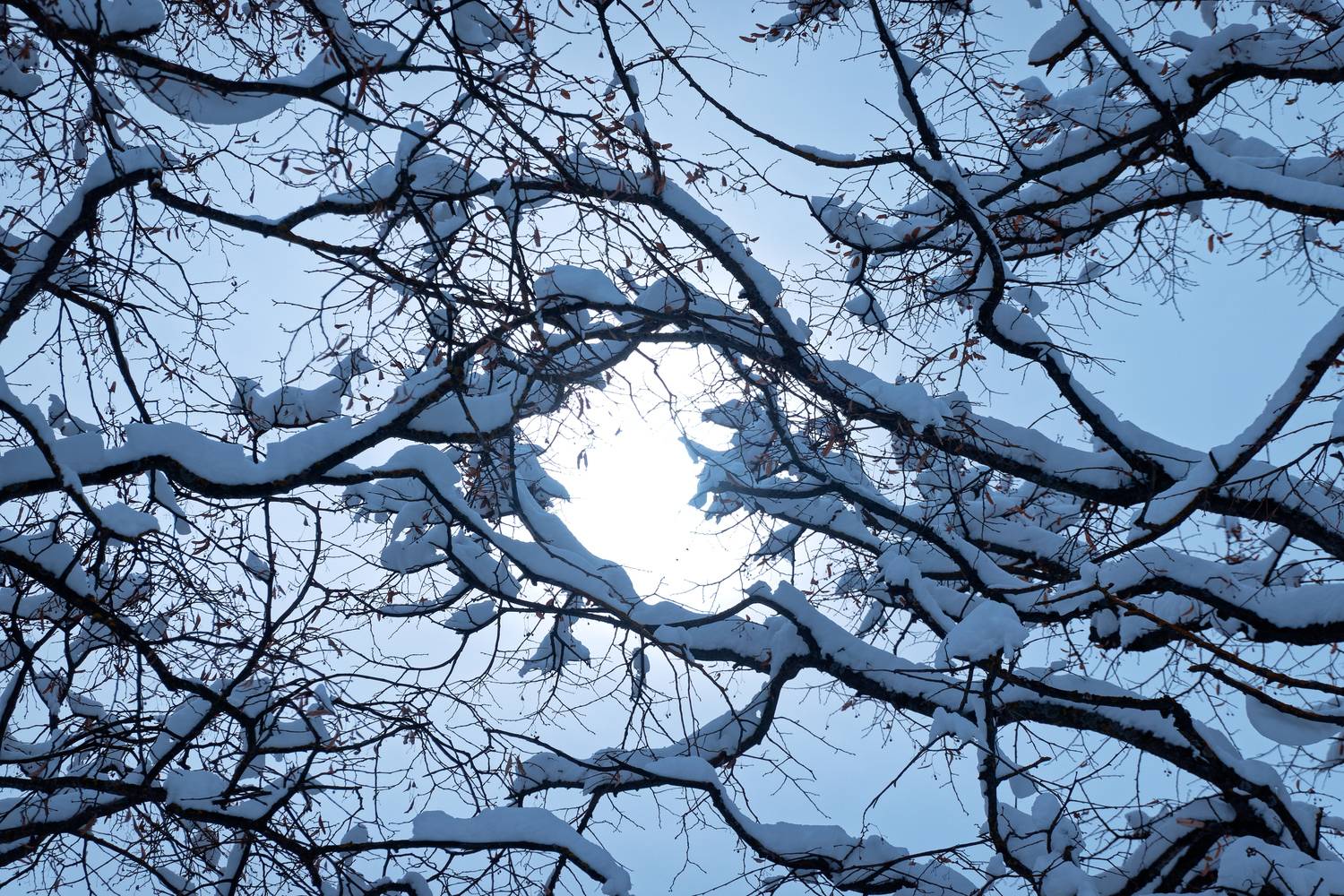 , Какоткин Роман