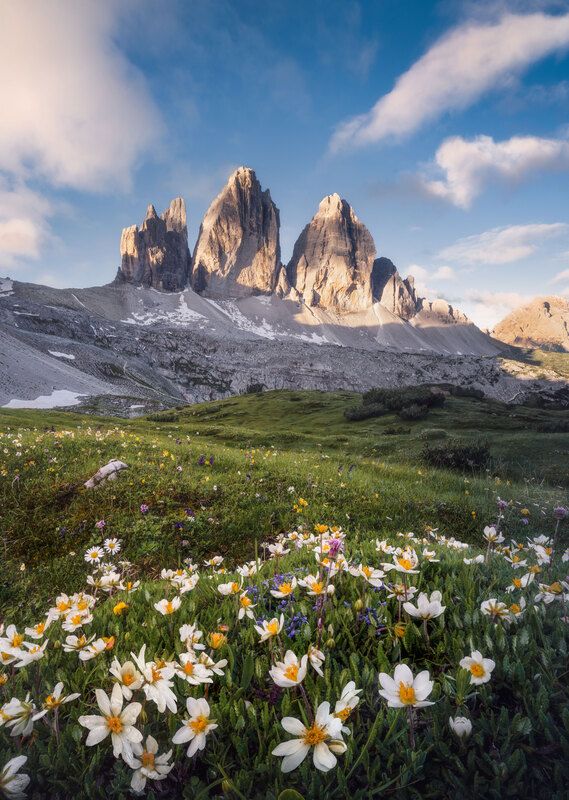 фото превью