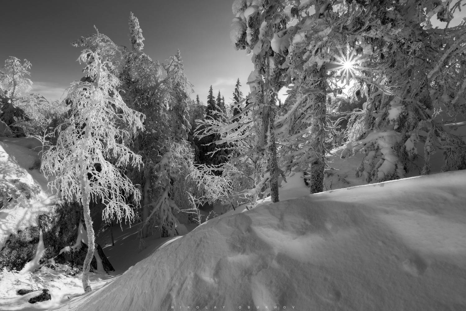 , Обухов Николай