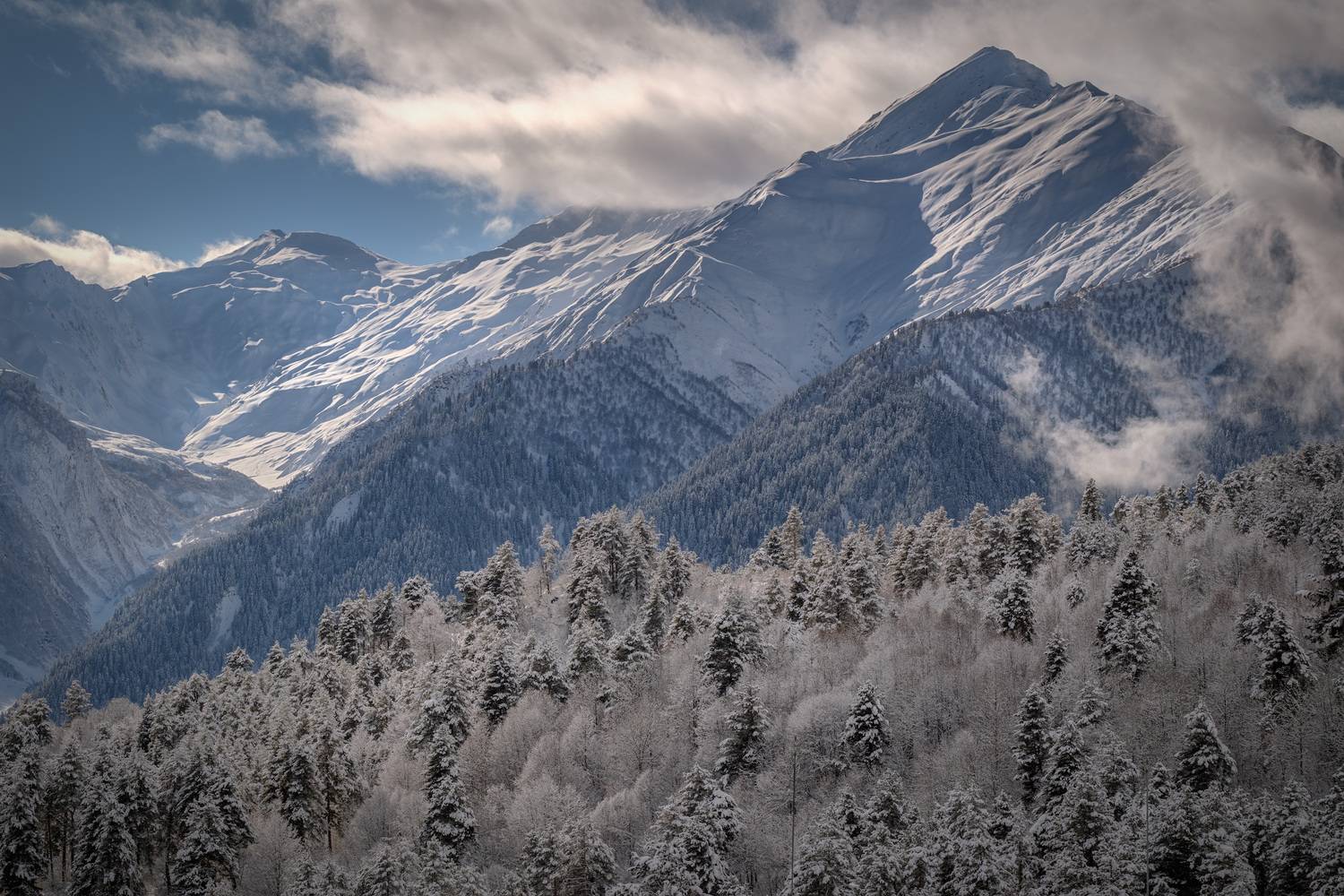 svaneti, tetnuldi, mountains, snow, winter, trees, peaks, clouds, january, nature, high, landscape, scenery, travel, outdoors, georgia, sakartvelo, caucasus, chizh, Чиж Андрей