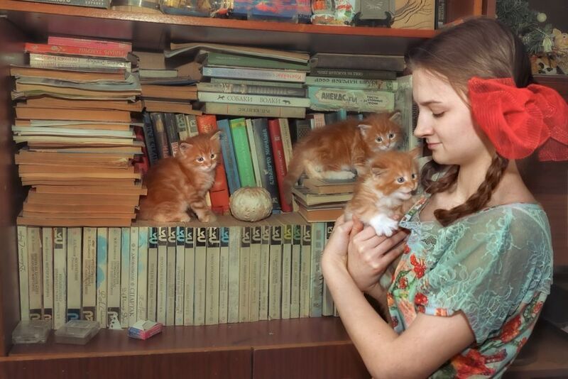 фото превью