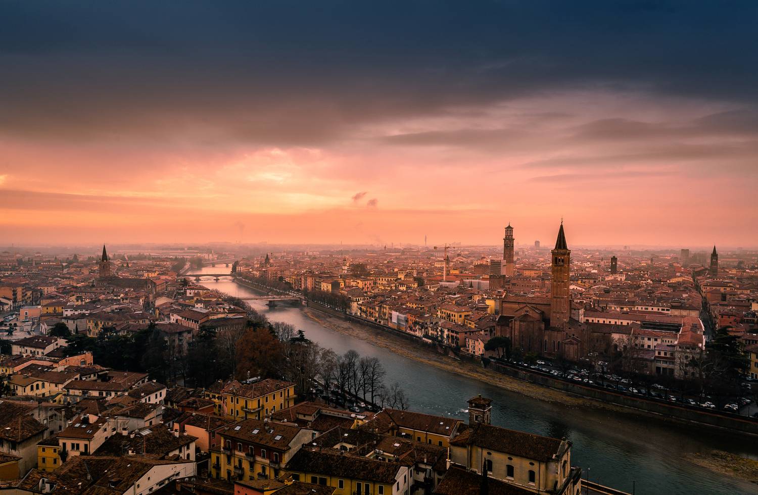 , Трепольский Дмитрий