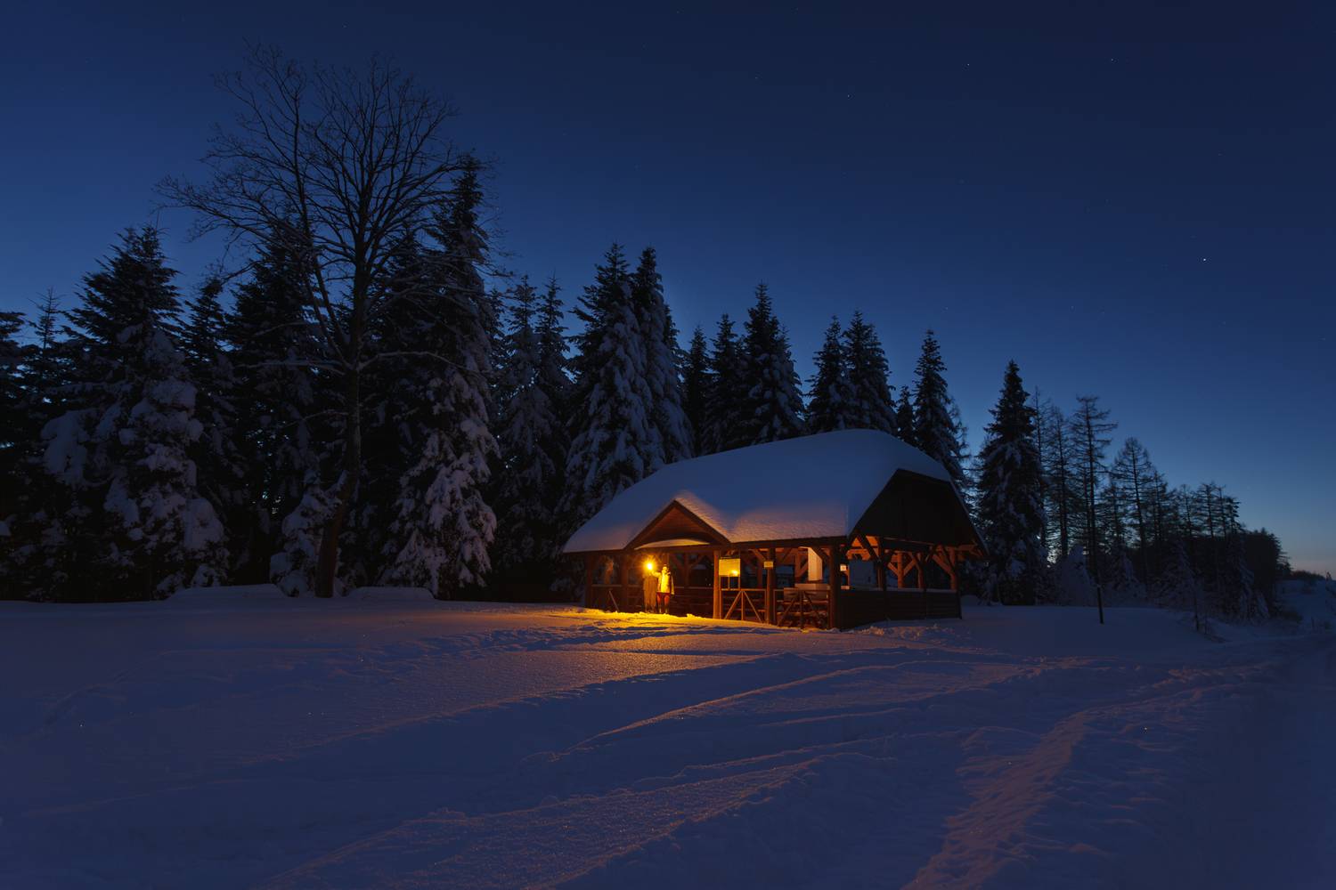 ,  Mirosław Pruchnicki