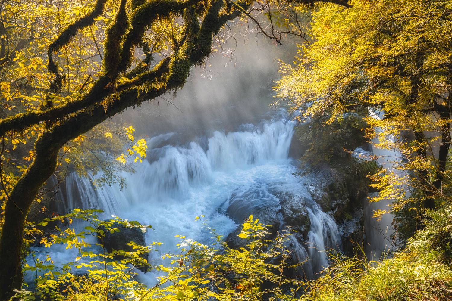 georgia, martvili, waterfall, autumn, outdoor, landscape, Алексей Вымятнин