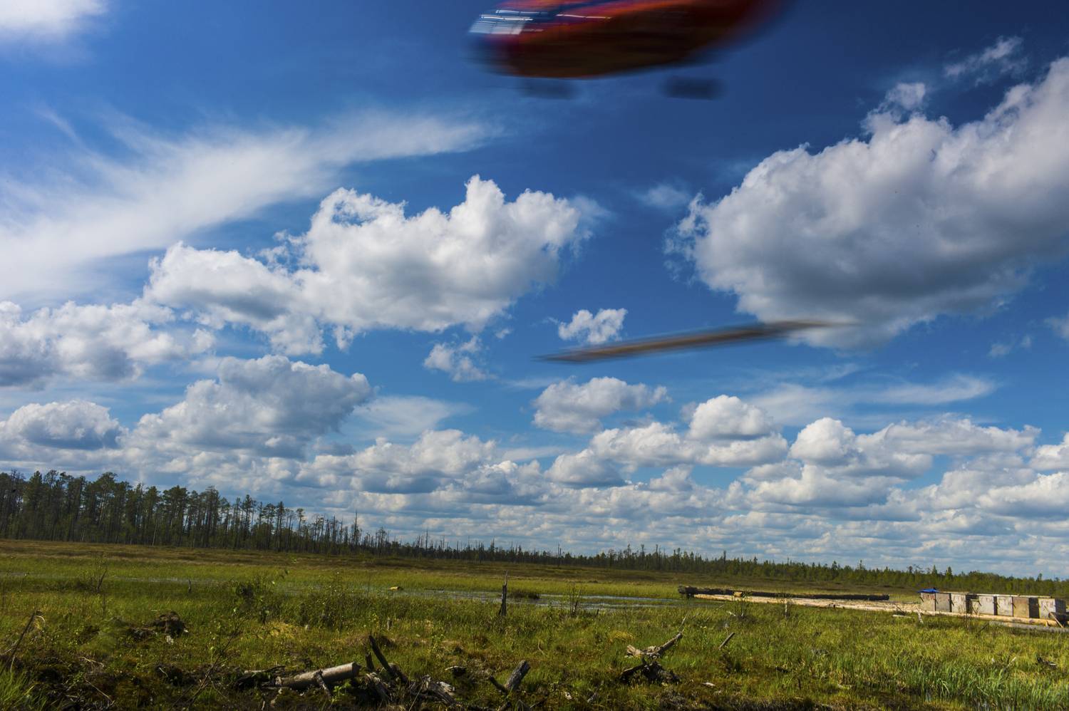 , Михаил Дронов