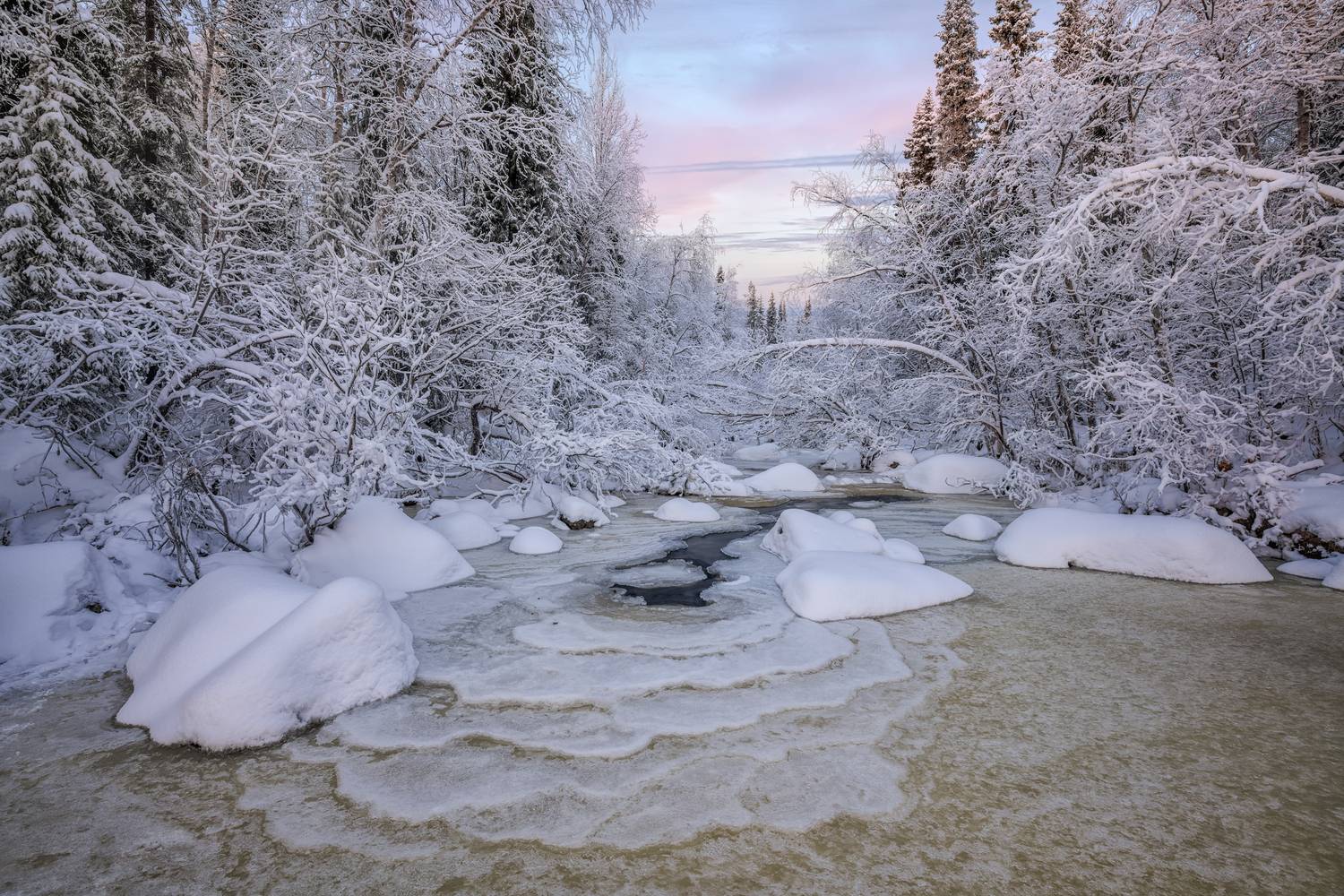 , Евдокимов Максим