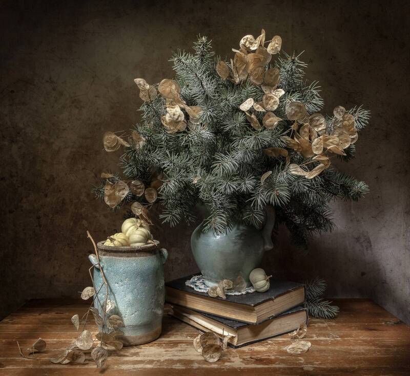 натюрморт, лунник, ель, тыквы Лунный) фото превью