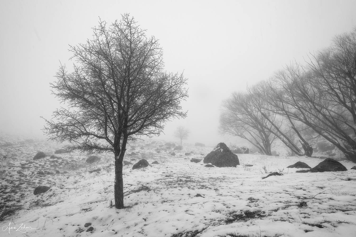 landscape, Aws Zuhair