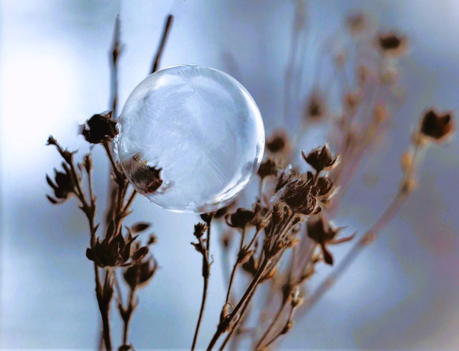 , Людмила Хрусталева*