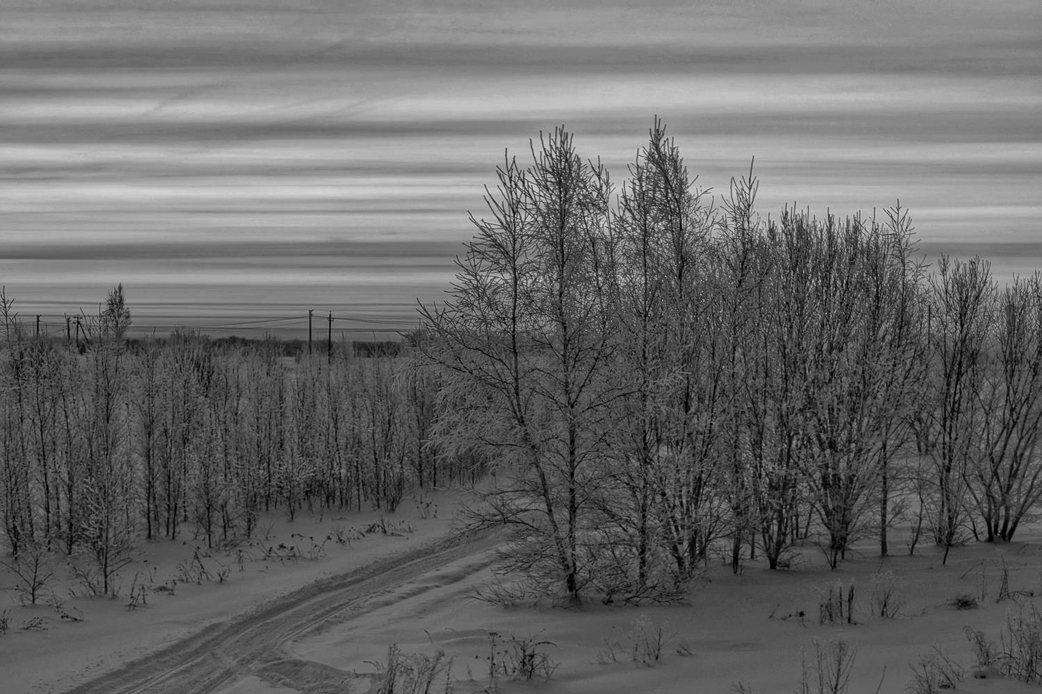 , Кондрашова Светлана